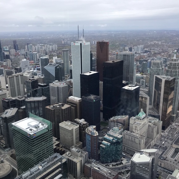 Meet your Posher, Gracie - Picture 1 of 1